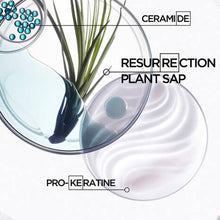 Load image into Gallery viewer, Kerastase Resistance Holiday Gift Set